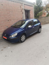 Peugeot 307 2004 307