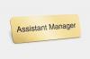 Assistant manager 