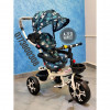 Tricycle pour enfants 