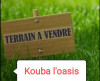 Vente Terrain Alger Kouba