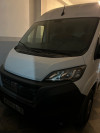 Fiat Ducato 2024