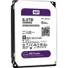 HDD 8T western digital purple