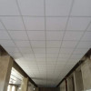 Ba13 placo faux-plafond demantable