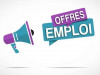 Offre d'emploi libre travail a distance