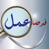 فرصة عمل حر 