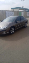 Peugeot 407 2006 407