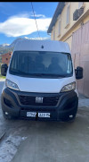 Fiat Ducato 2023