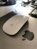 Magic mouse 1 apple