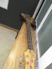 Guitare Basse Samick 5 cordes