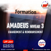 Formation AMADEUS niveau 3 - Changement et Remboursement -