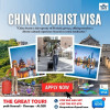 VISA CHINE 17500 da