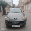 Peugeot 407 2010 Privilege