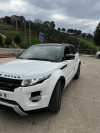 Land Rover Range Rover Evoque 2014 Range Rover Evoque