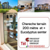 Cherche achat Terrain Alger Les eucalyptus