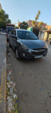 Hyundai Tucson 2010 Extreme