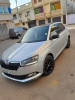 Skoda Fabia 2020 Monte Carlo