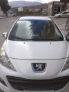 Peugeot 207 2012 00 peinture