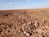 Vente Terrain Agricole Djelfa Benhar