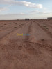 Vente Terrain Agricole Biskra Oumache