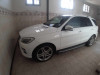 Mercedes ML 2015 250 CDI Pack AMG