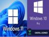 Windows 10 Pro et Windows 11 Pro 