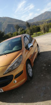 Peugeot 207 2007 Premium