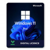 License windows 10/11 pro