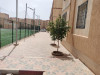 Vente Appartement F3 Laghouat Laghouat