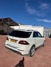 Mercedes ML 2013 250 CDI Pack AMG