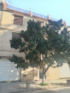 Location Villa Alger Mohammadia