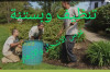 تنظيف وبستنة Nettoyage et jardinage