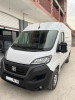 Ducato L2h2 2023