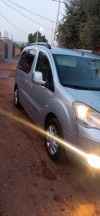 Citroen Berlingo 2009 Berlingo