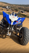 Raptor 250 Yamaha raptor 250 yfm 2014