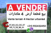 Vente Terrain Alger Bachdjerrah