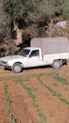 Peugeot 504 1989 504