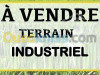 Vente Hangar Setif Guidjel