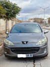 Peugeot 407 2009 407