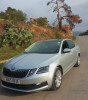 Skoda Octavia 2019 Octavia