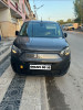 Fiat Doblo 2024 Professionnel