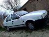 Renault 19 1995 19