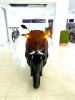 Yamaha Xmax 300 2024