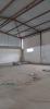 Vente Hangar Annaba Barrahel