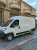 Fiat ducato L2H2 2024