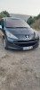 Peugeot 207 2007 207