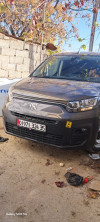 Fiat Doblo 2024 Professionnel