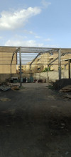 Location Hangar Alger Les eucalyptus