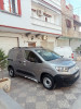 Fiat Professional Doblo 2024 