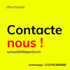 gerer un projet business marketing/commerciale/management / leadership/e-commerce 