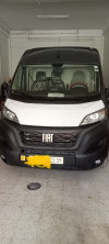 Fiat Ducato 2023